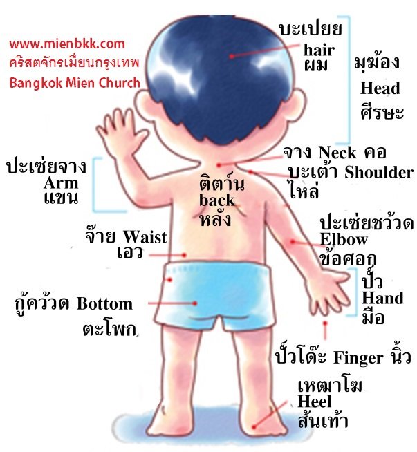 เกี่ยวกับร่างกาย 2nd